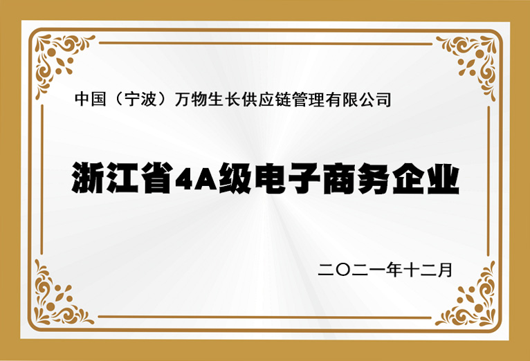 浙江省4A级电子商务企业